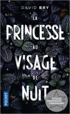 La Princesse au visage de nuit