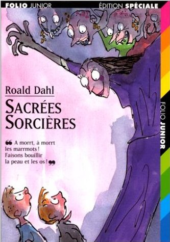 sacrées sorcières roald dahl livres de mon enfance folio junior