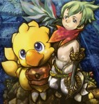 Les chocobos