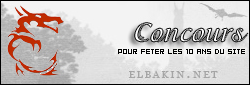 les-10-ans-d-elbakinnet