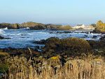 Ballintoy Harbour