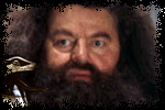 Agrandir l'image