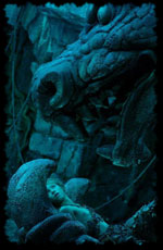 Agrandir l'image