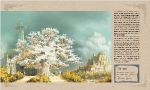 flore Numenor