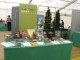/plume/xmedia/association/2013/thumb/printemps-stand2-b_thumb.jpg