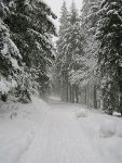 sentier