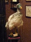 Dodo, de Camille Renversade