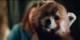 /plume/xmedia/fantasy/articles/2020/thumb/pan2_thumb.jpg