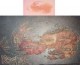 /plume/xmedia/fantasy/articles/thumb/Map_Roshar_thumb.jpg