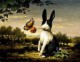 /plume/xmedia/fantasy/articles/thumb/kevin_sloan_5-2_thumb.jpg