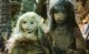 /plume/xmedia/fantasy/articles/thumb/power-of-the-dark-crystal-alive-00-420-75_thumb.jpg