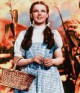 /plume/xmedia/fantasy/news/Oz/thumb/WIZ001FT_dorothy_costume_1000_thumb.jpg