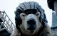 /plume/xmedia/fantasy/news/alcdm/BBC/thumb/iorekhbo_thumb.jpg