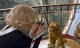 /plume/xmedia/fantasy/news/alcdm/daemon/thumb/compass-monkeyx-large_thumb.jpg