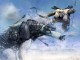 /plume/xmedia/fantasy/news/alcdm/jeux-video/art/thumb/screen004_thumb.jpg