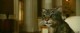 /plume/xmedia/fantasy/news/alcdm/photos/thumb/goldencompass_138_thumb.jpg