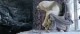/plume/xmedia/fantasy/news/alcdm/photos/thumb/hd241_thumb.jpg