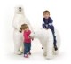 /plume/xmedia/fantasy/news/alcdm/thumb/ours-polaires_thumb.jpg