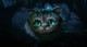 /plume/xmedia/fantasy/news/alice/thumb/1151663-cheshire_cat_thumb.jpg