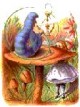 /plume/xmedia/fantasy/news/alice/thumb/chenille-alice_thumb.jpg