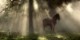 /plume/xmedia/fantasy/news/animation/thumb/Black-Angel_thumb.jpg
