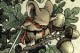 /plume/xmedia/fantasy/news/autres_films/2019/thumb/mouse-guard-1_thumb.jpg
