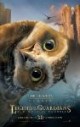 /plume/xmedia/fantasy/news/autres_films/GaHoole/thumb/Ga4_thumb.jpg