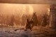 /plume/xmedia/fantasy/news/autres_films/avatar/photos/thumb/la18205r-550x366_thumb.jpg