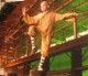 /plume/xmedia/fantasy/news/autres_films/avatar/photos/thumb/zz3be652e9_thumb.jpg