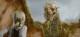 /plume/xmedia/fantasy/news/autres_films/beowulf/photos/thumb/beowulf15_thumb.jpg