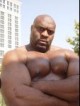 /plume/xmedia/fantasy/news/autres_films/conan/casting/thumb/bob-sapp_thumb.jpg
