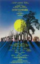 /plume/xmedia/fantasy/news/autres_films/disney/thumb/intothewoods_thumb.jpg