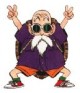 /plume/xmedia/fantasy/news/autres_films/dragonball/thumb/tortue-geniale_thumb.jpg