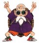 /plume/xmedia/fantasy/news/autres_films/dragonball/thumb/tortuegenialedbfilm_thumb.jpg