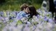 /plume/xmedia/fantasy/news/autres_films/fascination/hesitation/photos/thumb/twilight_eclipse_flower_kiss2_thumb.jpg
