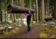 /plume/xmedia/fantasy/news/autres_films/fascination/revelation/thumb/twilight-breaking-dawn-part-1-movie-image-kellan-lutz-01-600x418_thumb.jpg