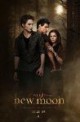 /plume/xmedia/fantasy/news/autres_films/fascination/tentation/poster/thumb/newmoonposter_thumb.jpg