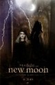 /plume/xmedia/fantasy/news/autres_films/fascination/tentation/poster/thumb/tentation-poster-volturi_thumb.jpg