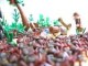 /plume/xmedia/fantasy/news/autres_films/indy/DVD/thumb/indy_fourmis_thumb.jpg