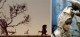 /plume/xmedia/fantasy/news/autres_films/max-et-les-maximonstres/thumb/wildthingsareew_thumb.jpg