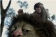 /plume/xmedia/fantasy/news/autres_films/max/thumb/wtwtausatoday1_thumb.jpg