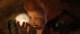 /plume/xmedia/fantasy/news/autres_films/minimoys/thumb/minimoys20106_thumb.jpg