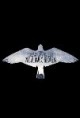 /plume/xmedia/fantasy/news/autres_films/peregrine/thumb/miss_peregrine_affiche_thumb.jpg