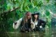 /plume/xmedia/fantasy/news/autres_films/potc/4/photos/thumb/ZZ7B88EF80_thumb.jpg