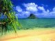 /plume/xmedia/fantasy/news/autres_films/potc/4/thumb/OahuHawaii_thumb.jpg