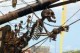 /plume/xmedia/fantasy/news/autres_films/potc/4/thumb/pirates4skullship_thumb.jpg