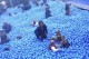 /plume/xmedia/fantasy/news/autres_films/potc/thumb/POTCFX_thumb.jpg