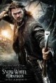 /plume/xmedia/fantasy/news/autres_films/snow/chasseur/thumb/snowwhiteintlposter4_thumb.jpg