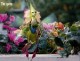 /plume/xmedia/fantasy/news/autres_films/spiderwick/thumb/spiderwickphotos_thumb.jpg