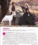 /plume/xmedia/fantasy/news/autres_films/stardust/thumb/1206premiere_thumb.jpg